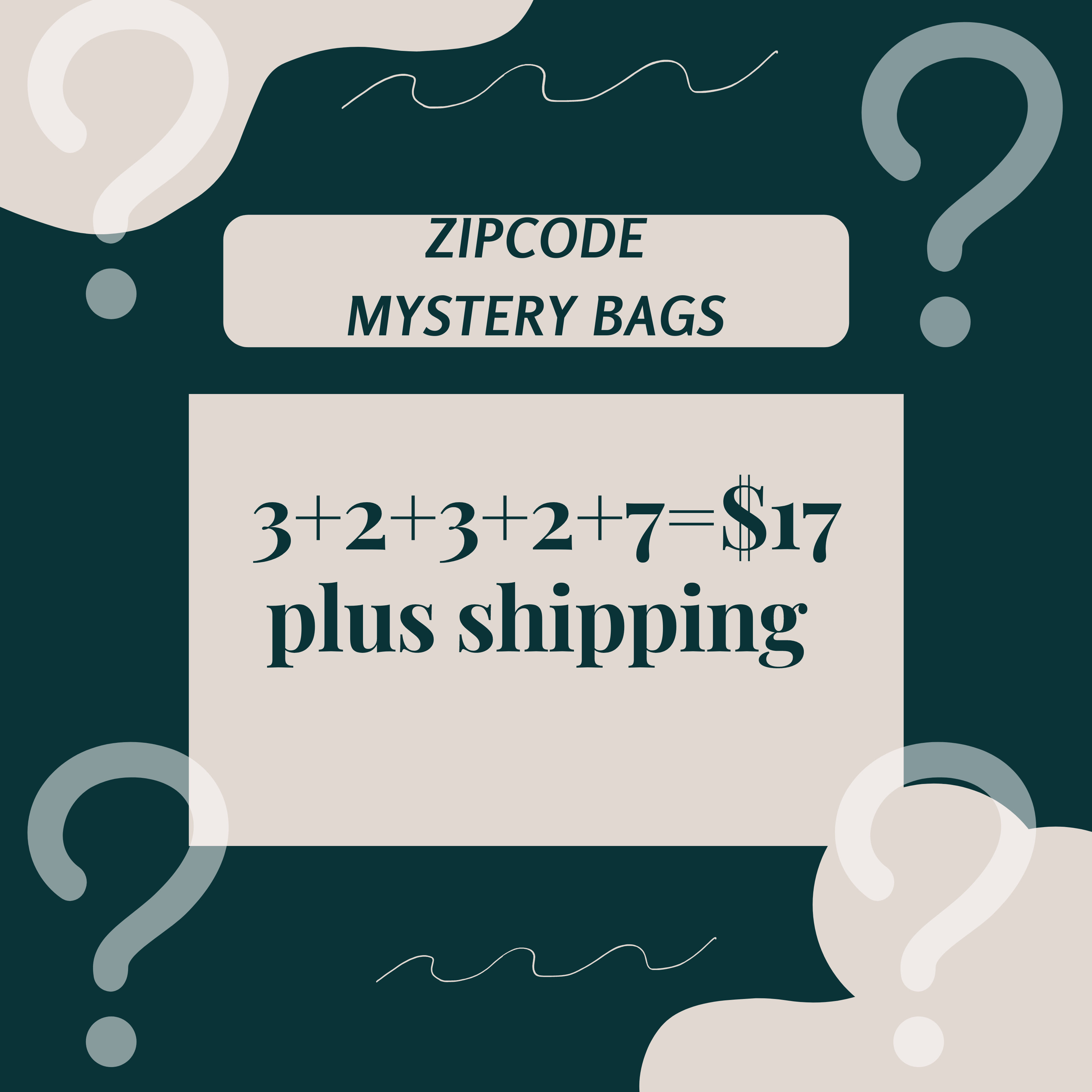 Mystery Zipcode Bags – RiverSass Boutique
