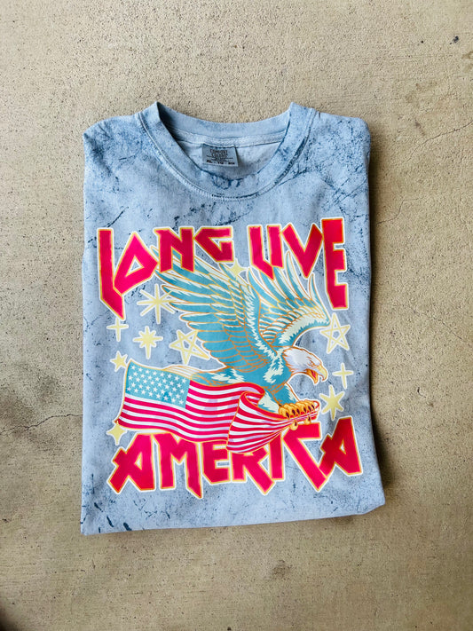 Long live America Acid Wash Tee