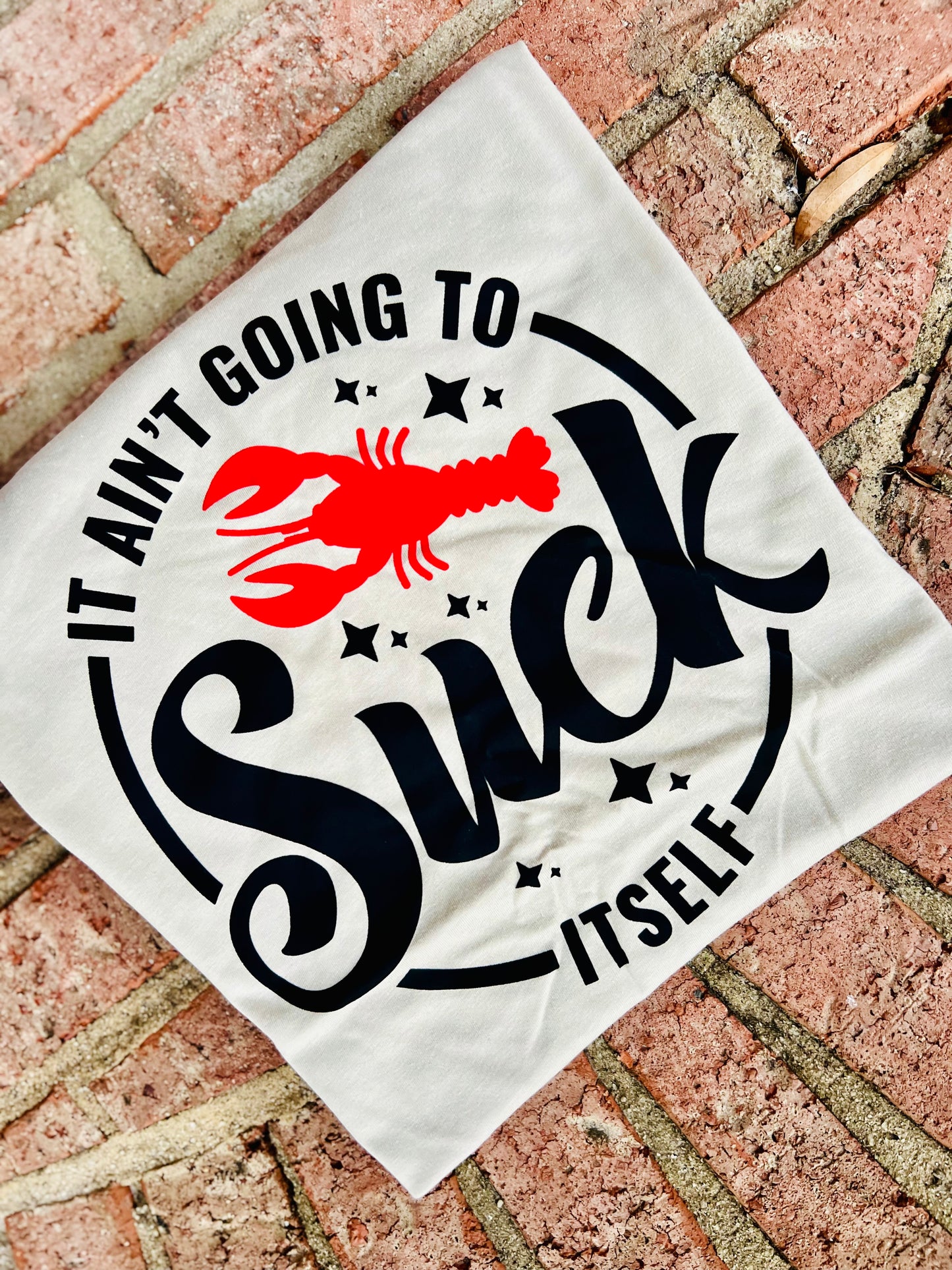 It aint going to suck itself tee