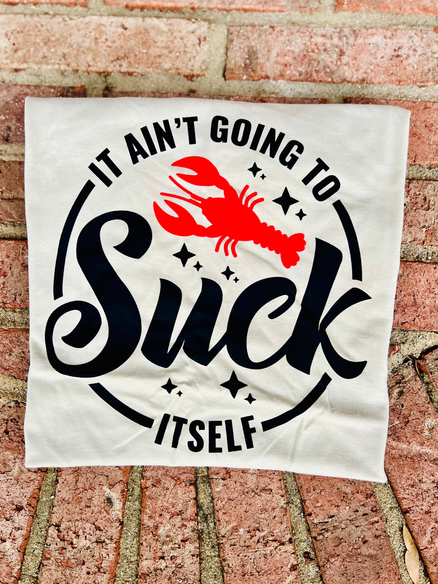 It aint going to suck itself tee