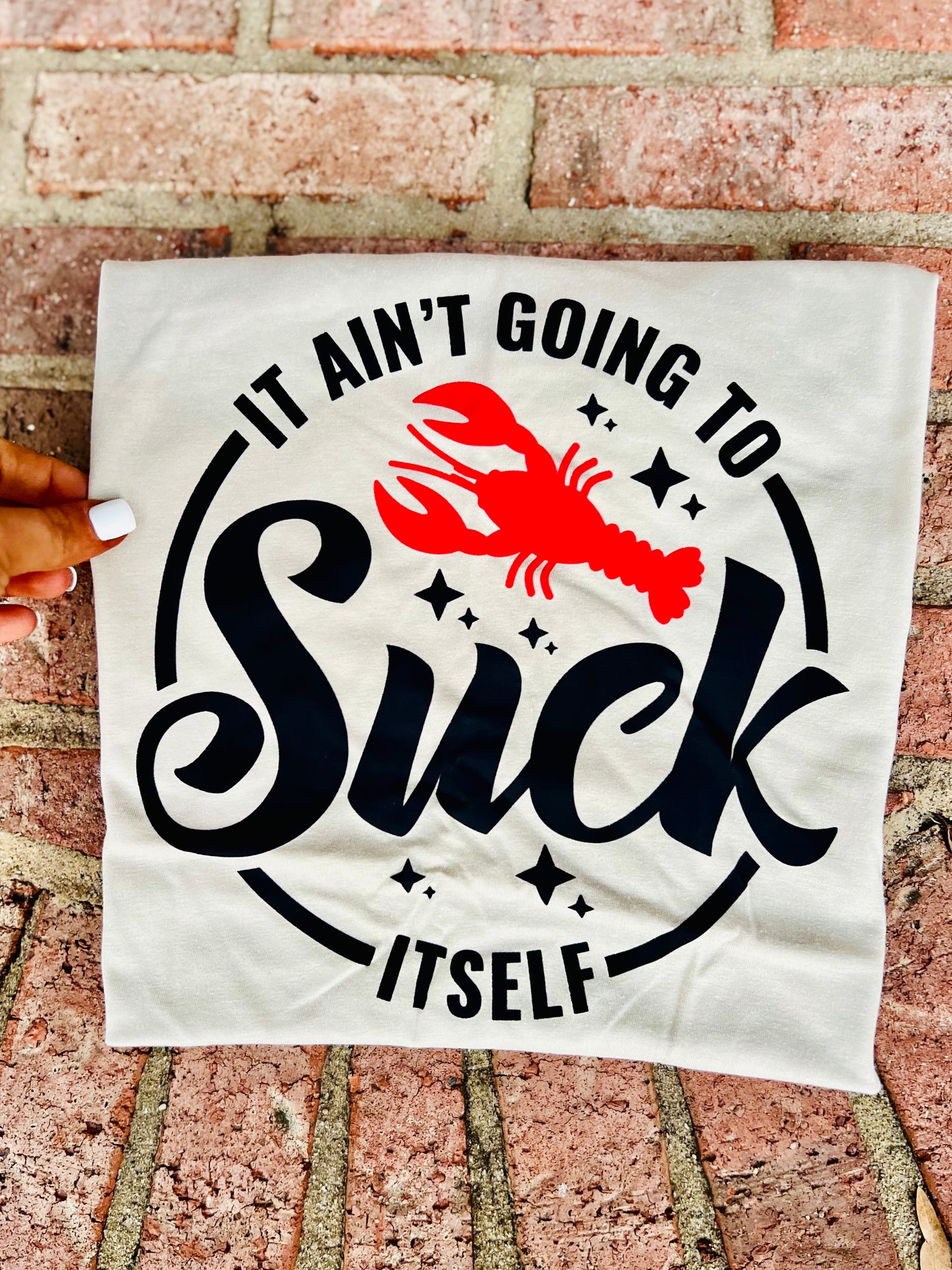 It aint going to suck itself tee