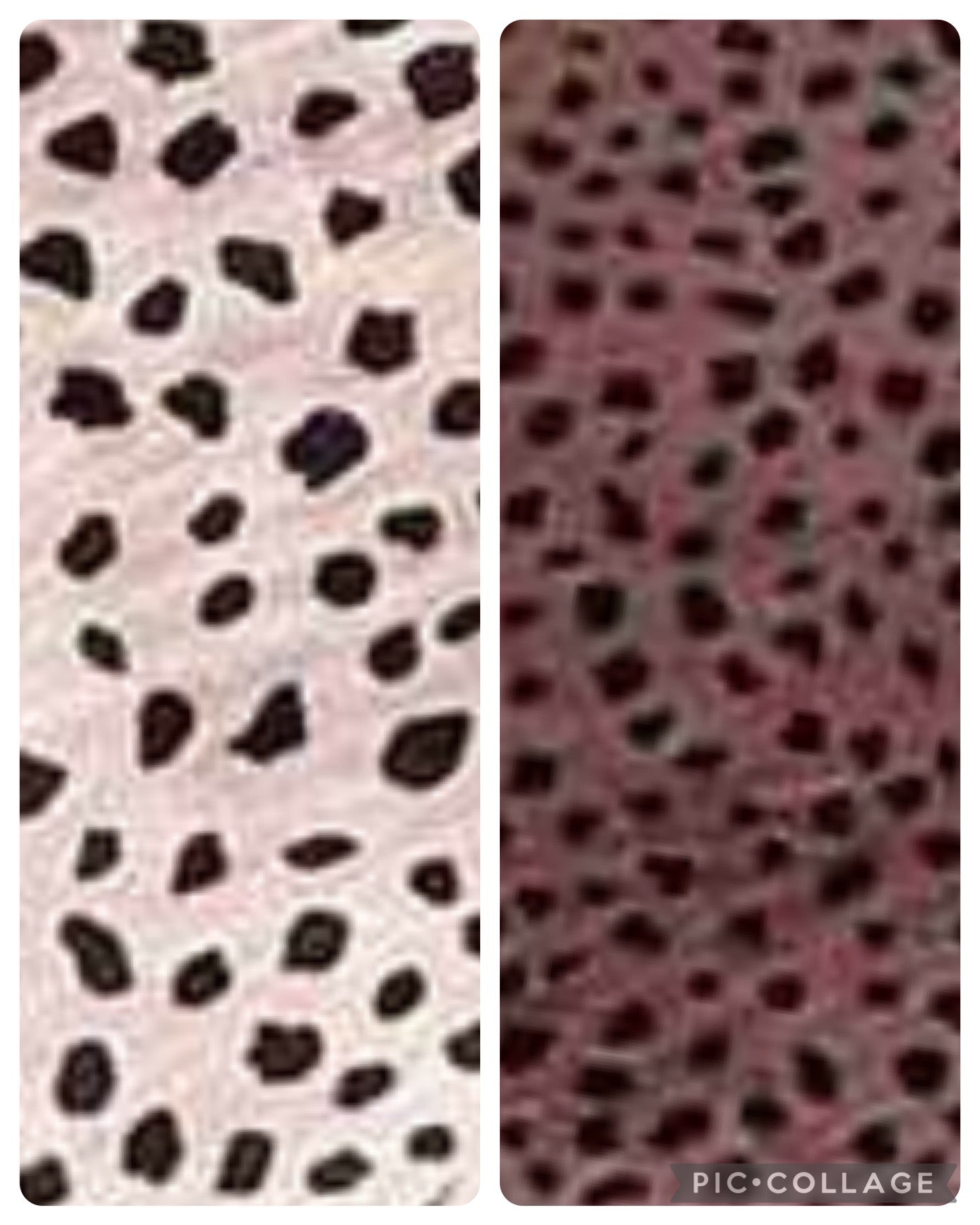 Cheetah Long Sleeve Top | 2 colors - Pre Order