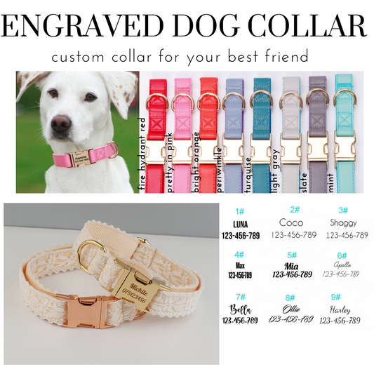 Engraved Dog Collar - Pre Order