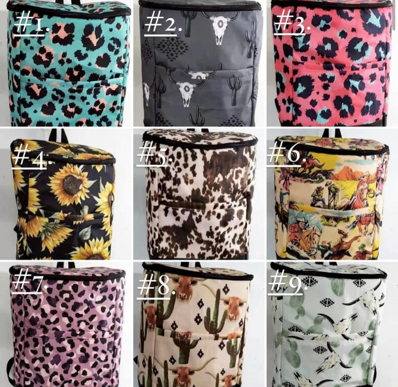 Mystery Cooler Backpack